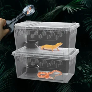 5pcs set of reptile pet cages, including 2 cages, 2 feeding bowls and 1 feeding clip, for snakes,insects, snails, lizards