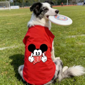 1pc  Disney printed Pet  sleeved letter printed dog shirt, suitable for summer clothing of puppies and cats