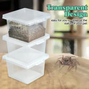 Transparent  Portable Reptile Insect Breeding Box Small Pet Observation Container Best Seller Spider Lizard Keeping Container