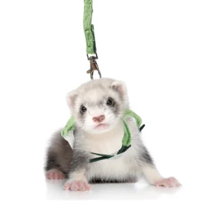 Portable Pets Traction Harness Anti-Escaping Ferret Walking Leash Comfortable Adjustable Small Pet Vest Leash Outdoor Use Kit