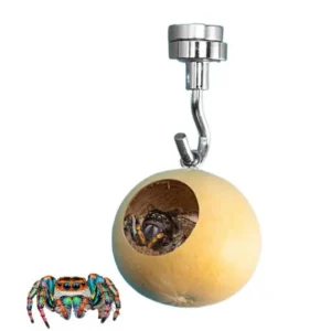 Jumping Spider House,Jumping Spider Hiding Nest With Magnetism,Natural Gourds Jumping Spider Enclosure For Jumping Spiders