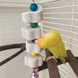 Parrot Chewing Toy, Bird Beak Grinding Stone with Random Color of Bells for Suitable For Small Pets Such As Parrots And Hamsters