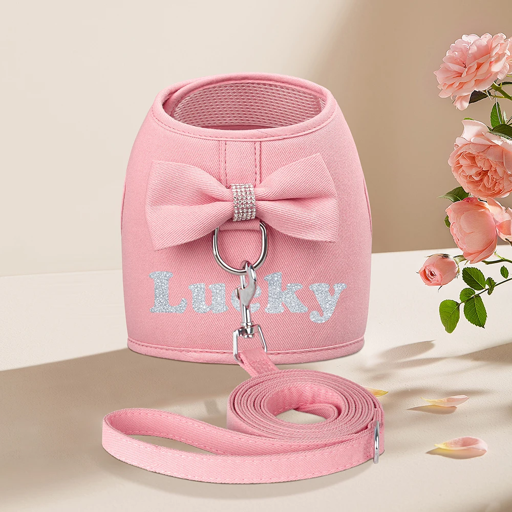 Personalized Dog Harness and Leash Set Free Print Name Pet Vest Harness Lead with Cute Bowtie for Small Medium Dogs Cats Pug - Image 10