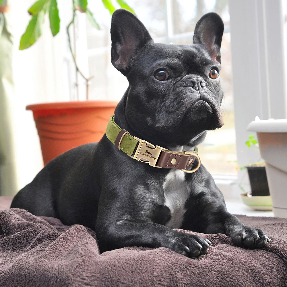 Customized Dog Collar Durable PU Leather Dog Collars Engraved Pet ID Necklace With Metal Buckle for Small Medium Large Dogs Pug - Image 5