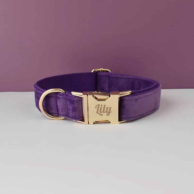 Velvet Collar Free Engrave Dog Collar Leash For Medium Big Pet Necklace Dog Accessories Dog Collars - Image 30