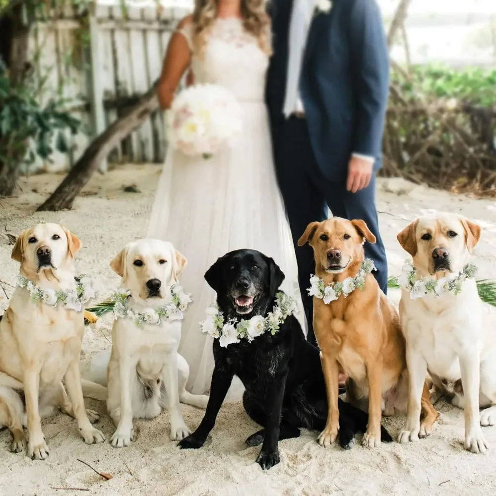 Adjustable Elegant Flower Dog Collar for Medium Large Dogs Cats Wedding Photo Props Pet Costume Accessories - Image 5