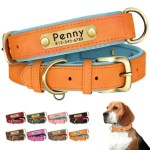 Personalized PU Leather Padded Dog Collar Customized ID Nameplate Pet Collar For Small Medium Dogs Durable Necklaces Accessories