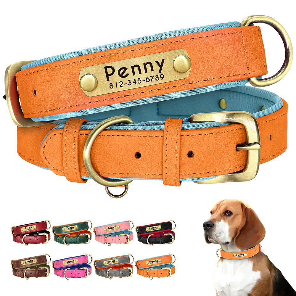 Personalized PU Leather Padded Dog Collar Customized ID Nameplate Pet Collar For Small Medium Dogs Durable Necklaces Accessories