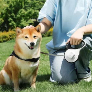 5M/8M Dog Leash with Poop Bag Dispenser Automatic Roulette Tow Rope with Detachable Led Flashlight Pet Puppy Collar Walking Lead