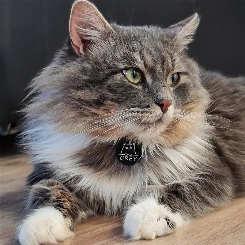 Personalized Pet ID Tags Cute Cat Face Collar Accessories Name Tags ID Collar Pendant Customized Free Engraved Anti-lost Tag - Image 2