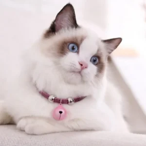 Fashion Pet Bell Collar Necklace Nylon Fabric Kitten Accessory Cats Collar With Extension Chain Cats Puppy Decoration Product