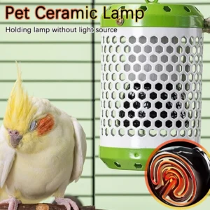 Reptile Heat Lamp Ceramic Heating Lamp Ceramic Heater Bulb 25/50/75W/100W for Birds and Amphibians Incubation Pet Supplies ﻿