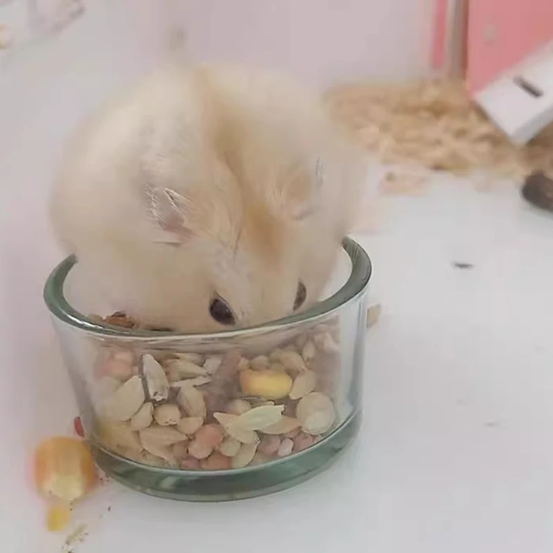 Hamster Food Bowl Transparent Glass Dish Hamster Feeding Dish and Water Bowl Small Pets Feeder Pet Supplies - Image 4